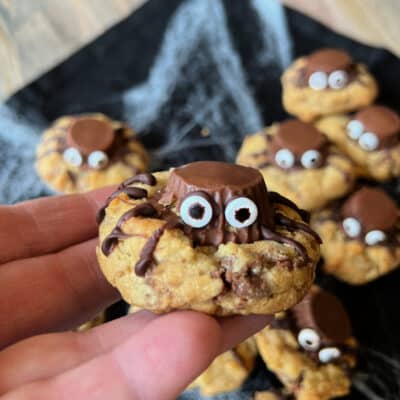 Spider Cookies for Halloween