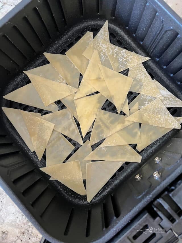 Easy Air Fryer Wonton Chips