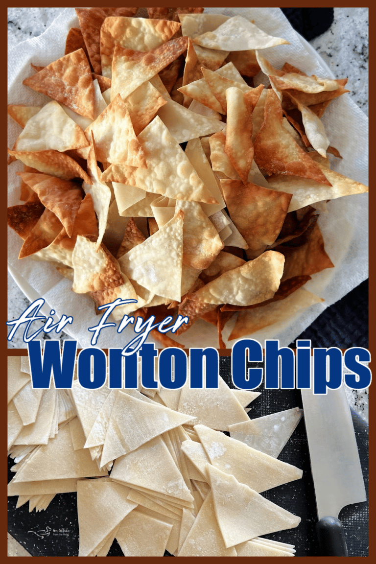 Easy Air Fryer Wonton Chips