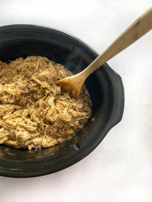 SLOW COOKER CARNITAS STORY