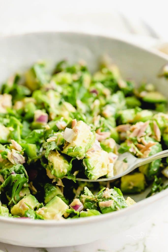 Avocado Tuna salad close up on a fork