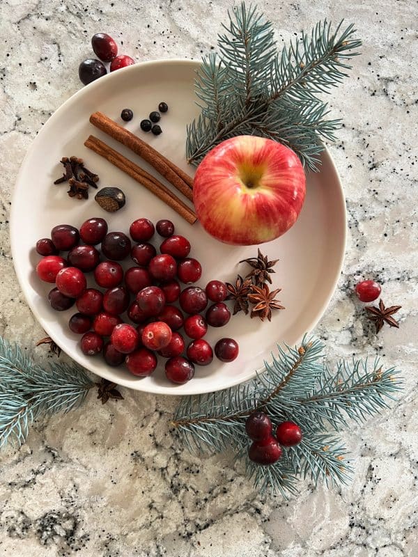 How to Make a Holiday Simmer Pot Gift — Wellesley and King