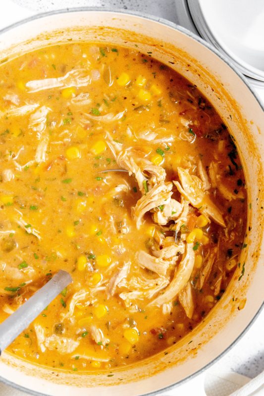 https://anaffairfromtheheart.com/wp-content/uploads/2023/11/Mexican-Style-Leftover-Turkey-Soup-4-533x800.jpg