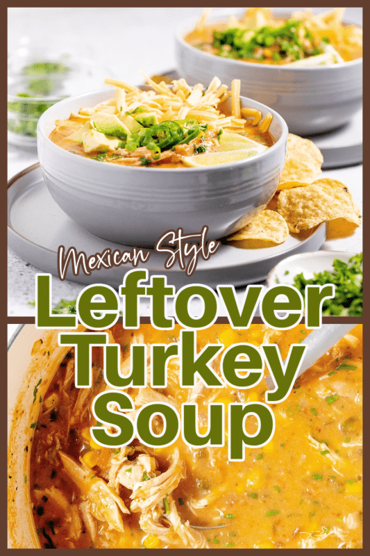 https://anaffairfromtheheart.com/wp-content/uploads/2023/11/Mexican-Style-Leftover-Turkey-Soup-_-An-Affair-from-the-Heart--533x800.png