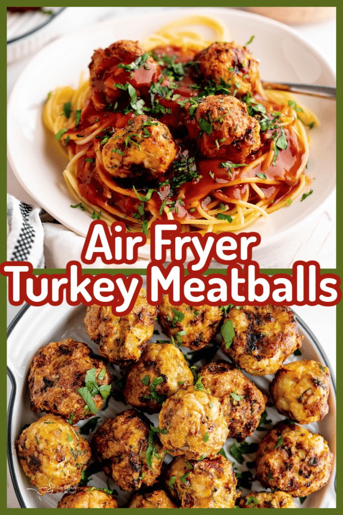 Easy Air Fryer Turkey Meatballs Recipe