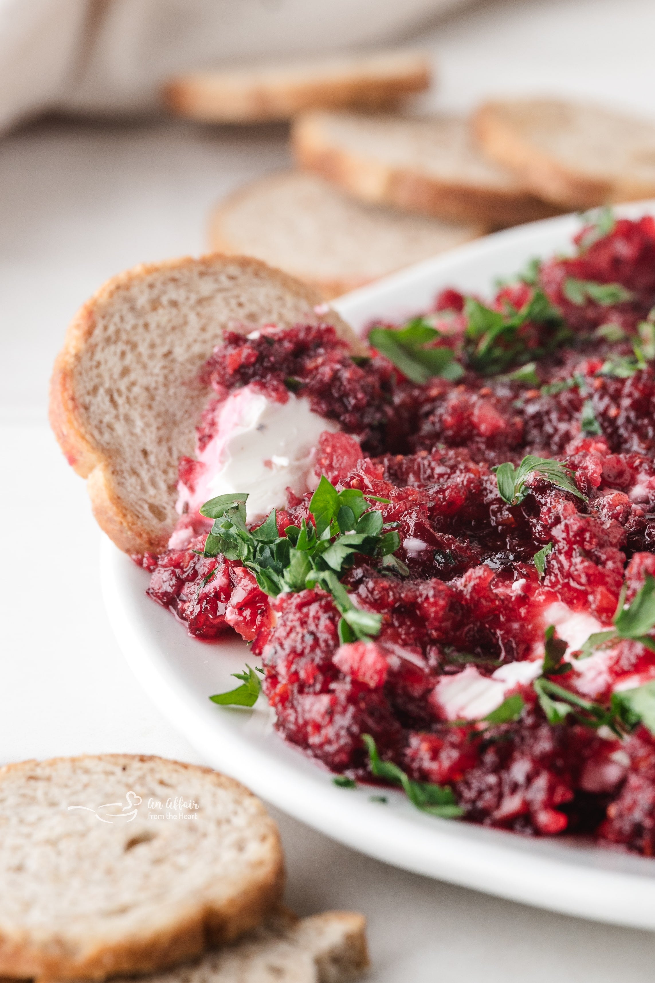 Close up of Cranberry Jalapeño Cream Cheese Dip on a white serving plate and a cracker dipping in.