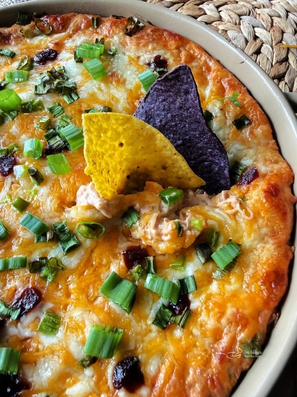 BBQ Chicken & Kraut Dip