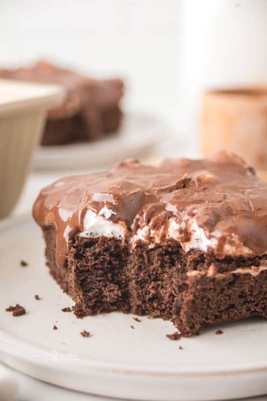 Mississippi Mud Cake